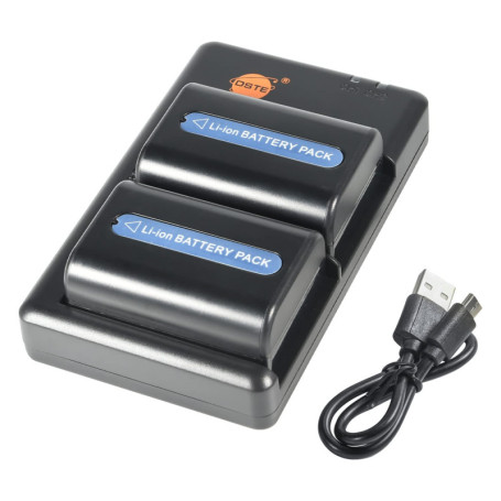 Kit de Batteries Rechargeables DSTE NP-FM55H avec Chargeur Double pour Sony