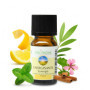 Synergie Énergisante d'Huiles Essentielles 100% Naturelles - 10ml
