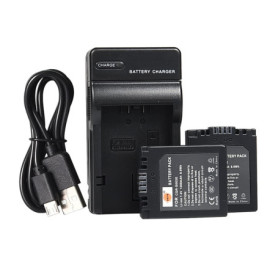 DSTE S002E Lot de 2 Batteries et Chargeur pour Panasonic Lumix