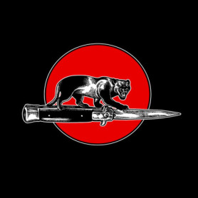 Stand Back and Take a Good Look - Paul Collins