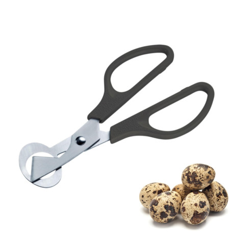 Ciseaux à Œufs de Caille Westmark en Acier Inoxydable - Ouvre-Coquille Précis