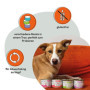 Grau Mischtray - Nourriture Humide Variée pour Chiens - Pack de 6 Menus Équilibrés