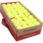 Balle de Tennis Smash Jaune pour Chien - 5,08 cm