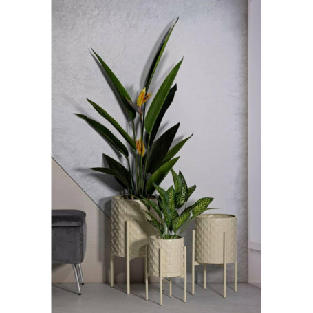 Lot de 3 Porte-vases Buller en Crème - Accessoire de Décoration Élégant