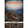 Solenodon : Le Fossile Vivant - Secrets et Défis de ce Mammifère Rare