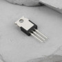 Lot de 5 Transistors MOSFET IRFB4227 à Canal N - Boîtier TO-220