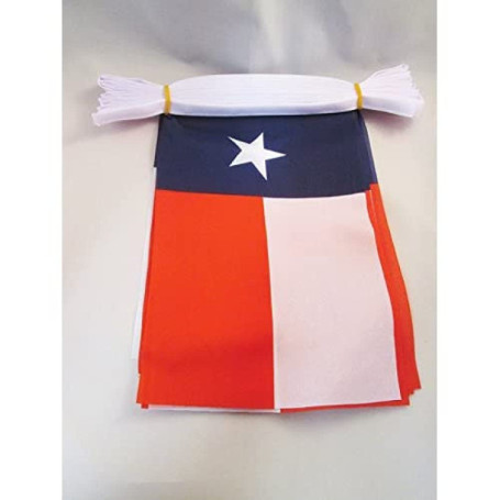 Guirlande Drapeau Texas 4m avec 20 Fanions en Polyester