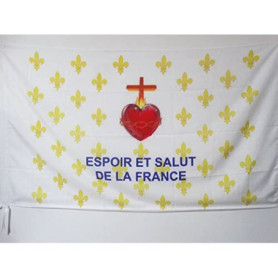 Drapeau Fleur de Lys Or ESF 90x60 cm - AZ FLAG