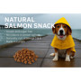 Friandises Nature Triangles au Saumon pour Chien - 75 g - Sans Gluten