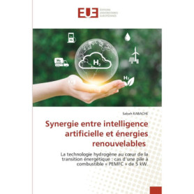 Synergie entre IA et énergies renouvelables : Pile à combustible PEMFC de 5 kW