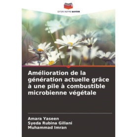 Solutions Énergétiques Durables : Pile à Combustible Microbienne Végétale