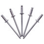 Lot de 100 Rivets Aveugles en Acier Inoxydable 3,2 x 6 mm - Tête Bombée DIN 7337