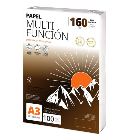 Papier A3 Multifonction 160g - 100 Feuilles pour Imprimante et Projets Créatifs