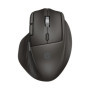 Souris Sans Fil HP 780M - Défilement Ultra-Rapide et Programmable