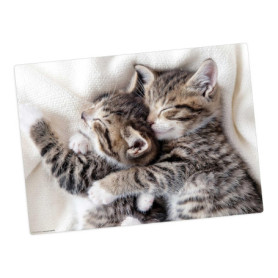 Set de Table Lavable Chatons Câlins en Vinyle - 44 x 32 cm