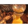 Fontaine à Eau OMEM pour Reptiles et Animaux Domestiques - Accessoire Pratique
