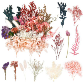 Kit de Fleurs Séchées Naturelles Multicolores pour Bricolage et Décoration
