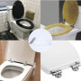 Kit de Fixation Universel pour Siège de Toilette Duoleimi en Acier Inoxydable