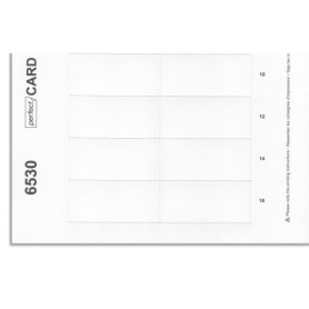 Badgepoint Porte-Nom Impression Arche Polar 30 - Lot de 10 Feuilles A4