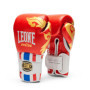 Gants de Boxe Thai Style 10OZ Rouge - LEONE 1947
