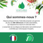 Huile Essentielle de Gaulthérie Couchée 250ml - 100% Pure et Naturelle pour Massage