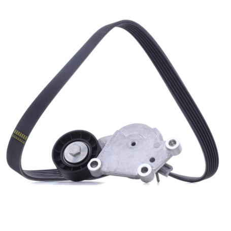 Galets de Distribution SNR pour Peugeot 207 et 308