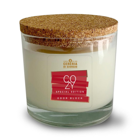 Bougie parfumée en verre Orange et Cannelle - 100% végétale - Cereria di Giorgio