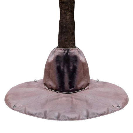 Protection Hivernale pour Racines de Palmier - SPORWAY