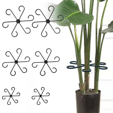 12 Clips de Support pour Plantes Vivaces - Tuteurs Intérieurs Noir