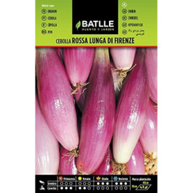 Graines d'Oignon Rose Lung Firenza - Semillas Batlle