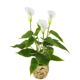 Plante Artificielle Calla dans Panier Tressé - Fleurs Blanches Réalistes