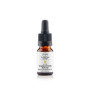 Elixirs & Co - Élixir Marronnier Rouge n°25 BIO - Anti-anxiété Naturel 10mL