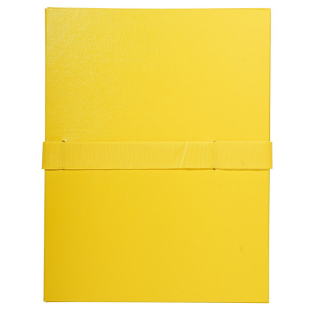 Exacompta Carton de 10 Chemises à Dos Extensible Jaunes A4