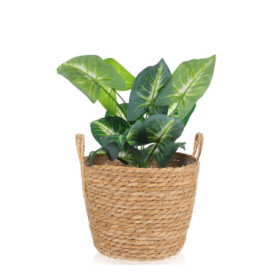 Panier à Plantes Bohème en Jonc de Mer - Décoration de Jardin Tissée