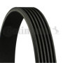Courroie trapézoïdale ContiTech 6PK1185 pour voiture