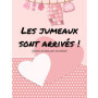 Journal de Bord pour Jumeaux : Suivi des Premiers Mois