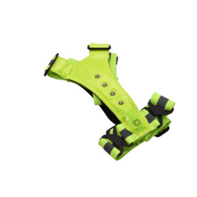 Ceinture Réfléchissante Safe Run avec Lumières LED pour Jogging et Marche Nocturne