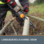 Chaîne de Rechange 30 cm pour Tronçonneuse Sans Fil WORX