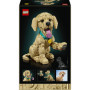 LEGO Icons Chiot Golden Retriever - Maquette 3D à Construire pour Adultes