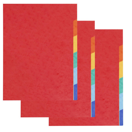 Pack de 3 Intercalaires A4 en Carte Lustrée Souple - Exacompta