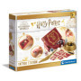 Coffret Tatouages Temporaires Harry Potter - Kit Créatif pour Enfants