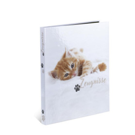Classeur à Anneaux HERMA pour Témoignages A4 avec Motif de Chats