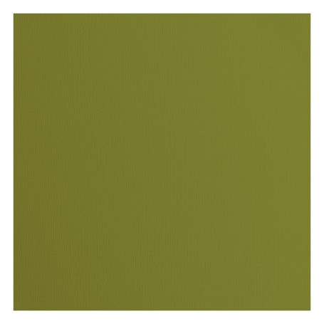 Papier Cartonné Vert Olive Florence - 20 Feuilles 30,5 x 30,5 cm pour Scrapbooking