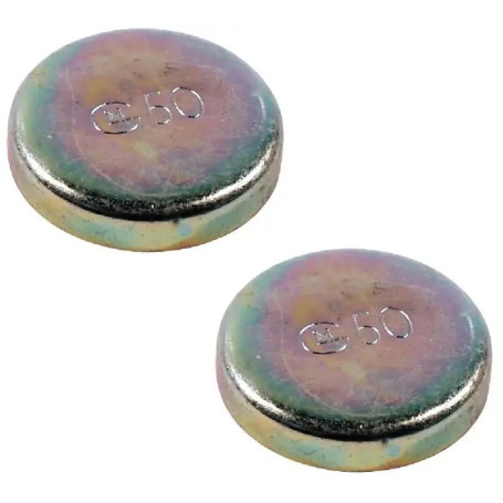 Pastilles de Sablage Anti-Gel 16mm pour Moteur - Lot de 2