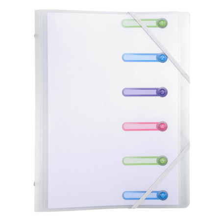 Trieur Chromaline Exacompta - Carton de 10 avec 6 Compartiments A4