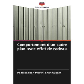 Analyse du Comportement des Cadres de Bâtiment avec Effet de Radeau