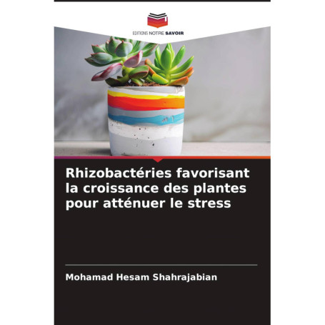 Rhizobactéries : Boostez la Croissance des Plantes et Réduisez le Stress