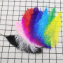 Lot de 10 plumes d'autruche multicolores pour créations artistiques - 25 à 30 cm