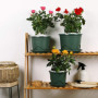 Ensemble de 6 Pots de Fleurs en Plastique Vert 22 cm pour Plantes Succulentes