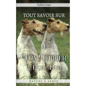 Guide Complet sur le Fox Terrier à Poil Dur